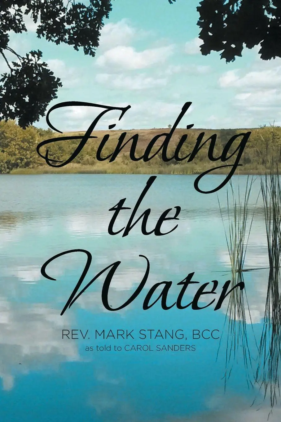 Cover: 9781645597032 | Finding the Water | Rev. Mark Stang BCC | Taschenbuch | Englisch