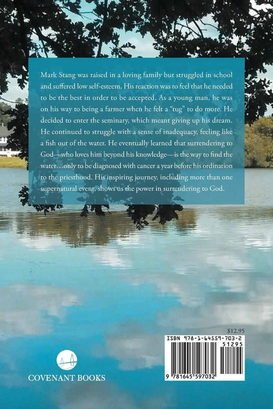 Rückseite: 9781645597032 | Finding the Water | Rev. Mark Stang BCC | Taschenbuch | Englisch