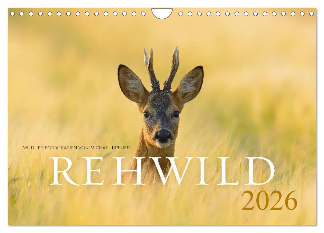 Cover: 9783457677032 | Rehwild 2026 (Wandkalender 2026 DIN A4 quer), CALVENDO Monatskalender