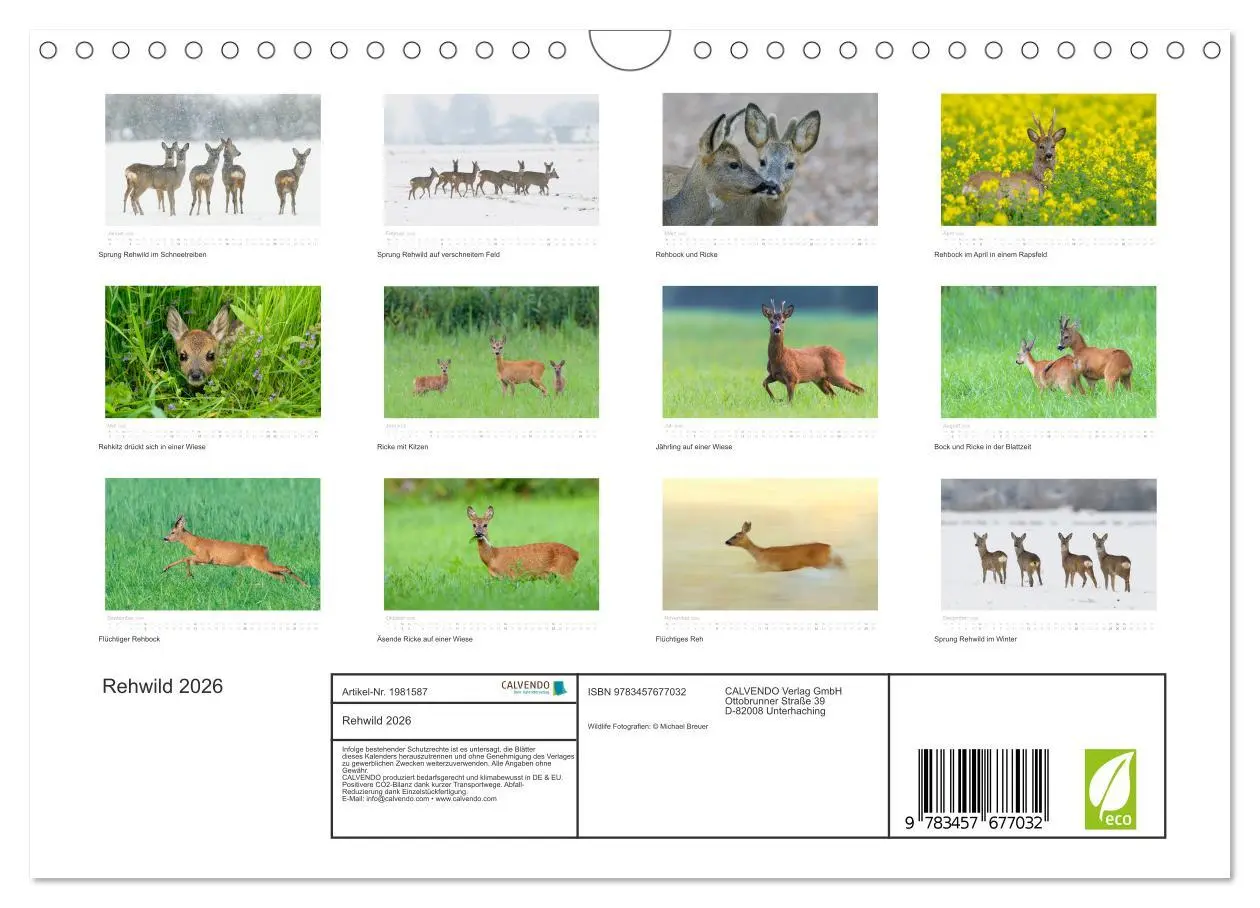 Bild: 9783457677032 | Rehwild 2026 (Wandkalender 2026 DIN A4 quer), CALVENDO Monatskalender