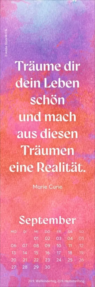 Bild: 9783756417032 | Romance Lesezeichen &amp; Kalender 2027 | Kalender | Geblockt | 13 S.