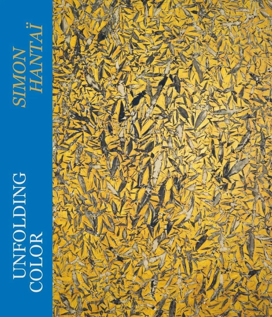Unfolding Color - Simon Hantaï