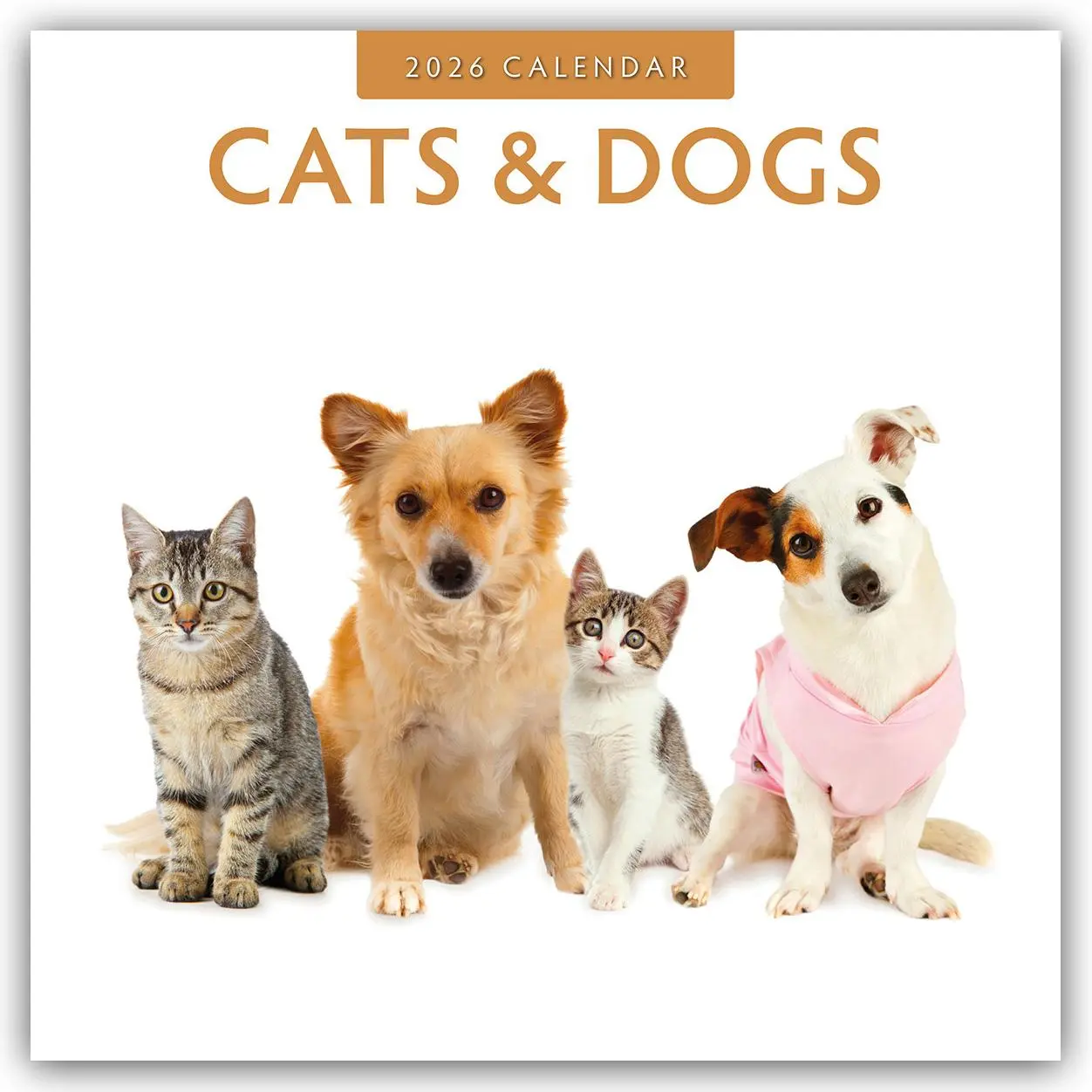 Cover: 9781804427132 | Cats &amp; Dogs - Katzen &amp; Hunde 2026 - 16-Monatskalender | Robin Red