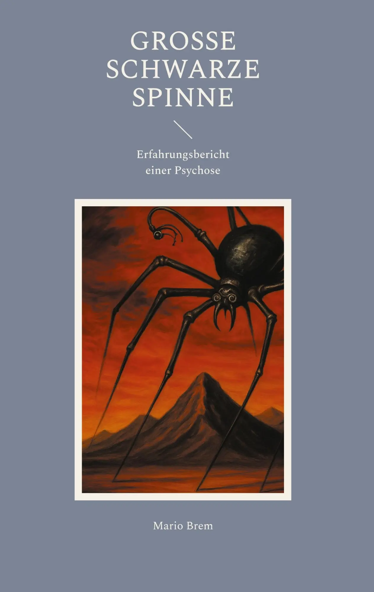 Cover: 9783819247132 | Große Schwarze Spinne | Erfahrungsbericht einer Psychose | Mario Brem