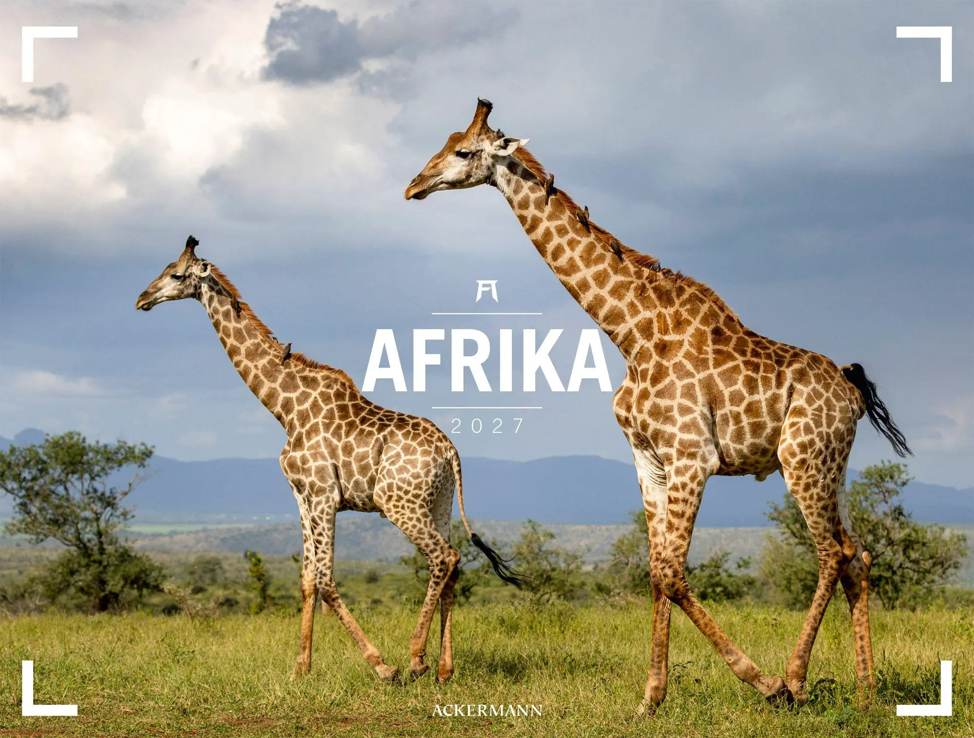 Cover: 9783838437132 | Afrika Gallery Kalender 2027 | Ackermann Kunstverlag GmbH | Kalender