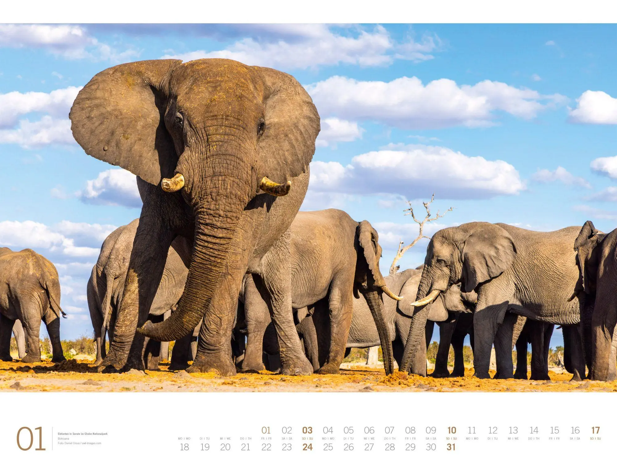 Bild: 9783838437132 | Afrika Gallery Kalender 2027 | Ackermann Kunstverlag GmbH | Kalender