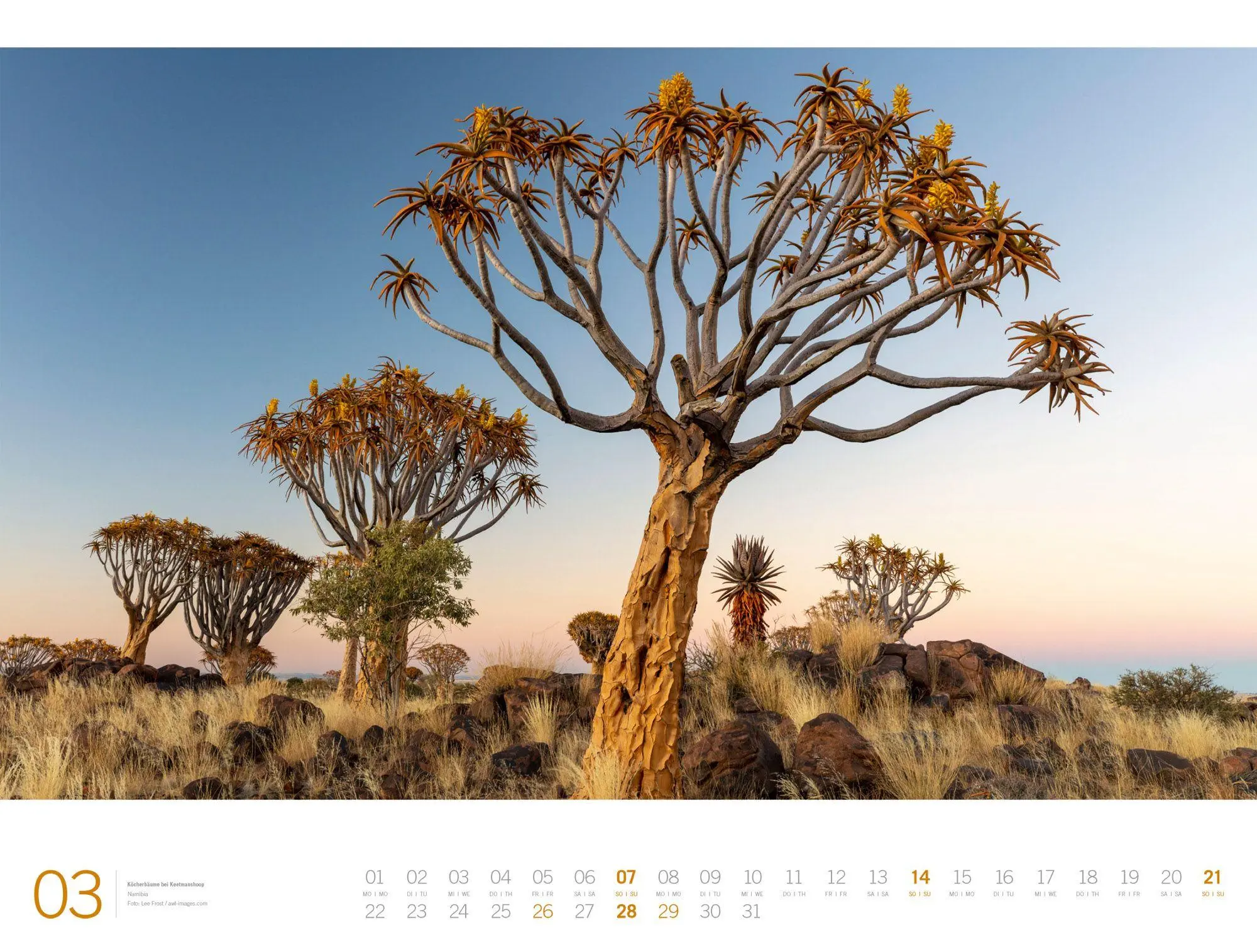 Bild: 9783838437132 | Afrika Gallery Kalender 2027 | Ackermann Kunstverlag GmbH | Kalender