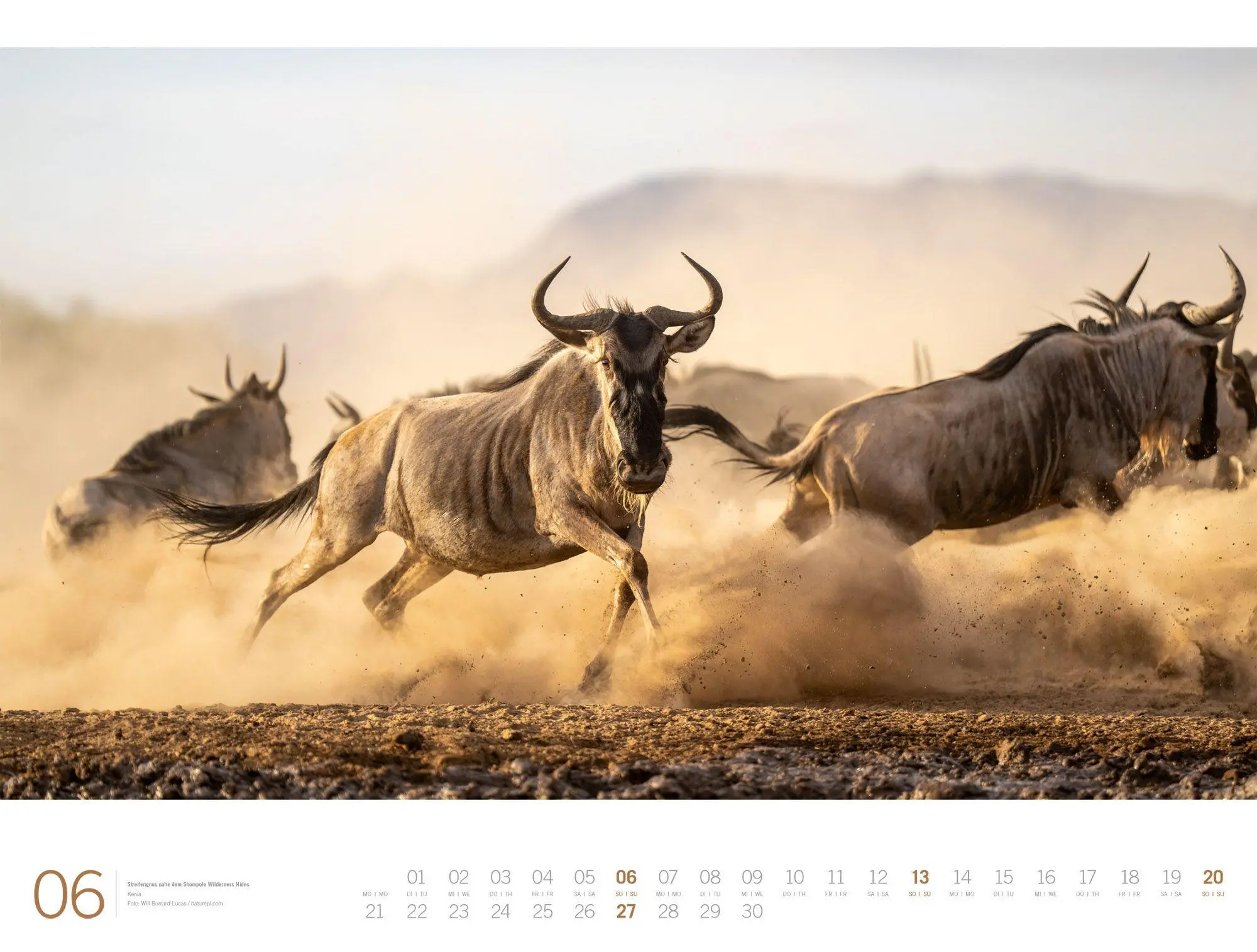 Bild: 9783838437132 | Afrika Gallery Kalender 2027 | Ackermann Kunstverlag GmbH | Kalender