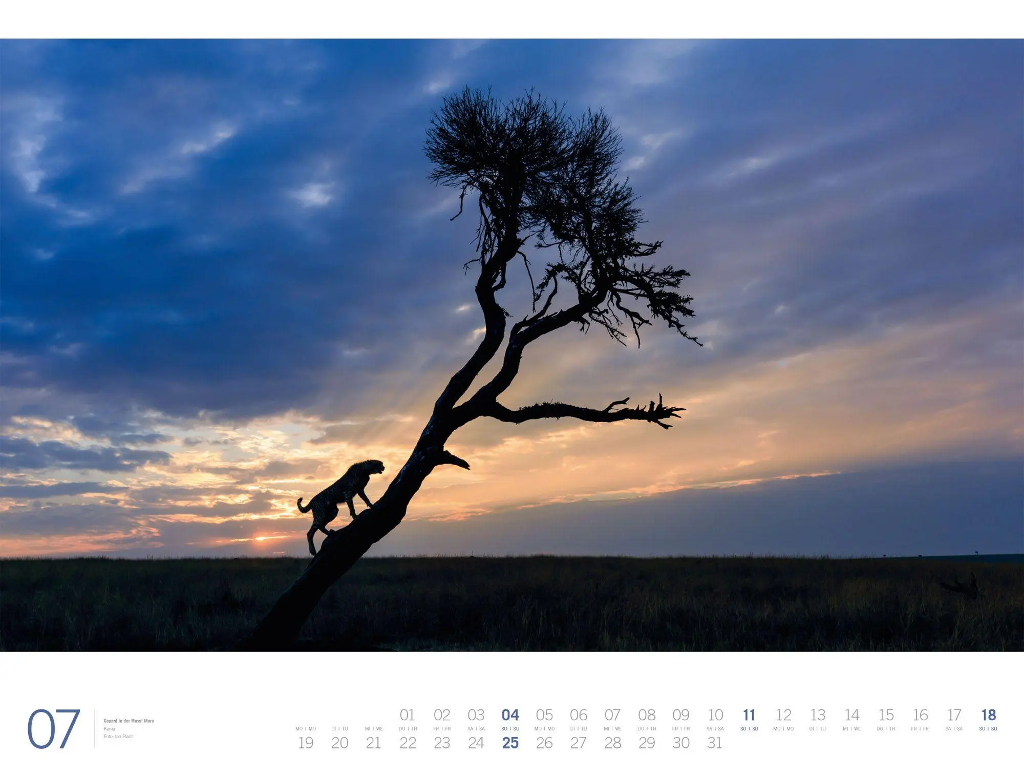 Bild: 9783838437132 | Afrika Gallery Kalender 2027 | Ackermann Kunstverlag GmbH | Kalender