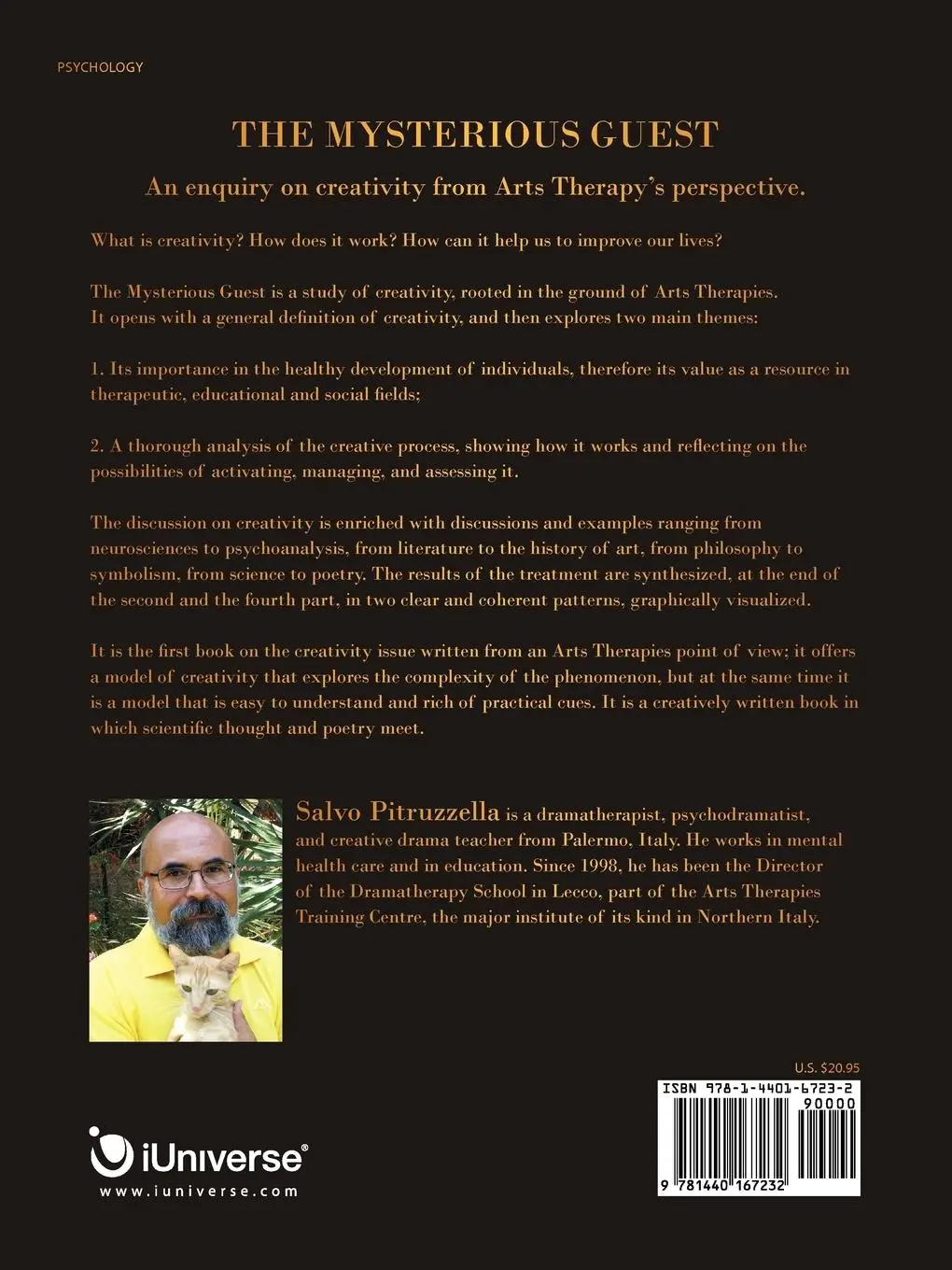 Rückseite: 9781440167232 | The Mysterious Guest | Salvo Pitruzzella | Taschenbuch | Englisch