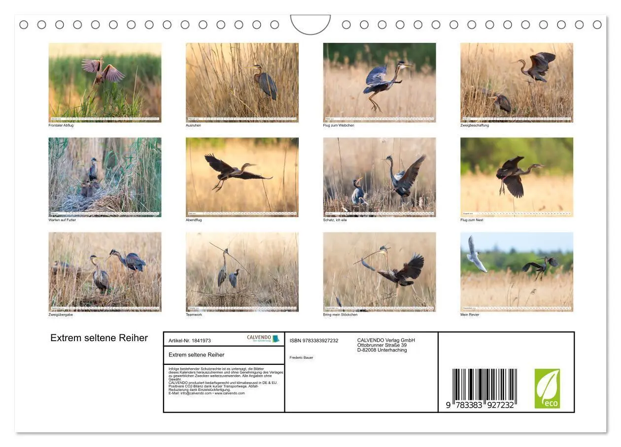 Cover: 9783383927232 | Extrem seltene Reiher (Wandkalender 2025 DIN A4 quer), CALVENDO...