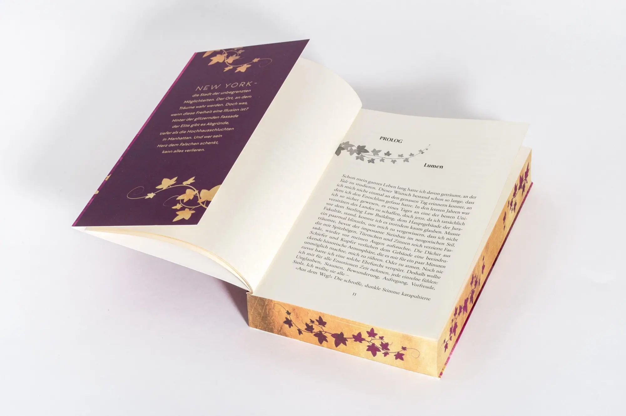 Bild: 9783442497232 | Ivy League. Guilty Rivals | Ann-Kathrin Falkenberg | Taschenbuch