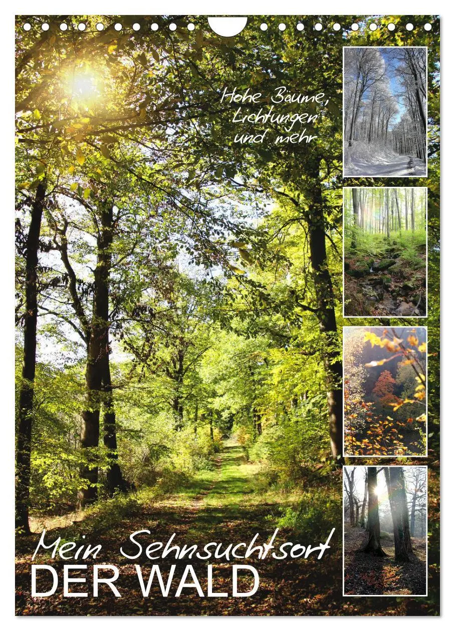 Cover: 9783516367232 | Mein Sehnsuchtsort, der Wald (Wandkalender 2026 DIN A4 hoch),...