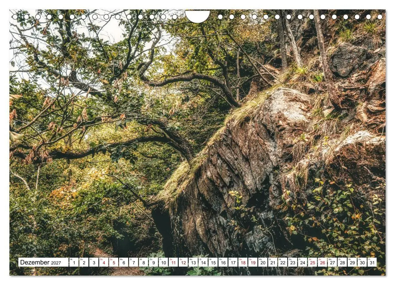 Bild: 9783516817232 | Nationalpark Harz - Mythen, Bergbau und Hexen (Wandkalender 2027...