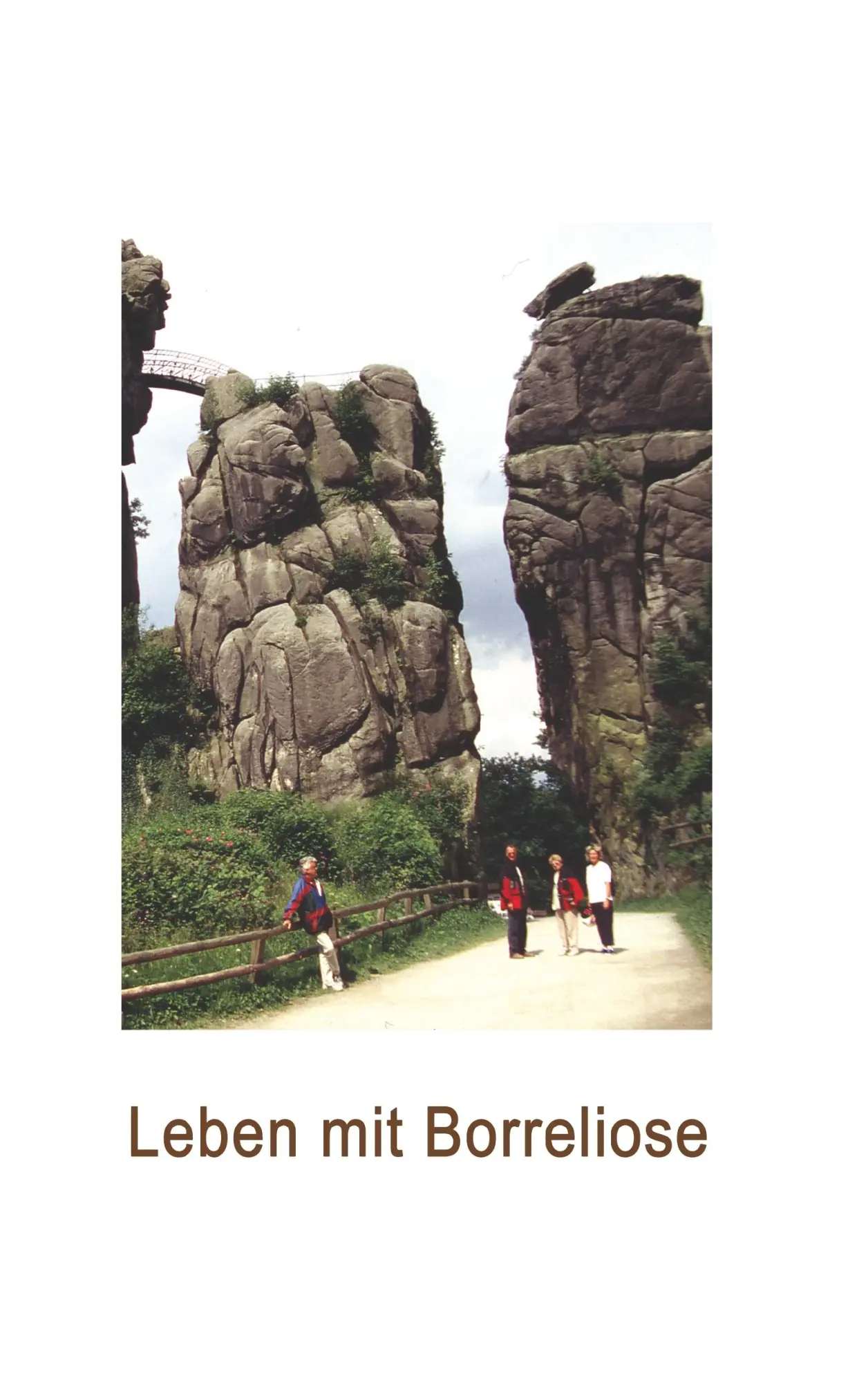 Cover: 9783844817232 | Leben mit Borreliose | Ideen für mehr Lebensqualität | Taschenbuch