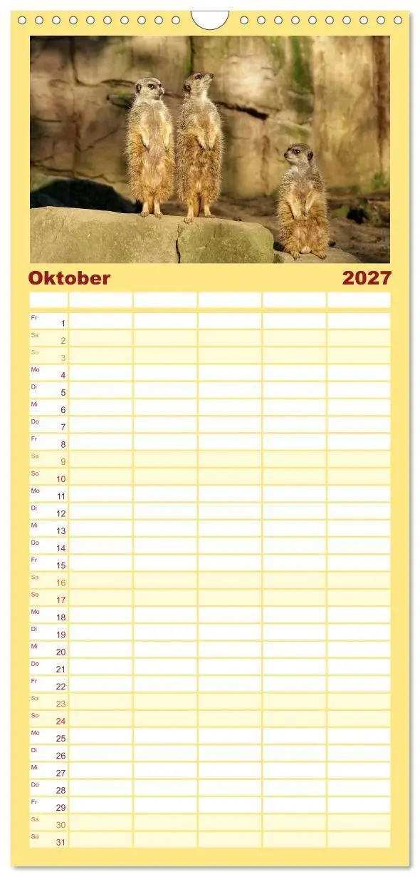 Bild: 9783594337332 | Familienplaner 2027 - Erdmännchen - Zusammen sind wir stark mit 5...