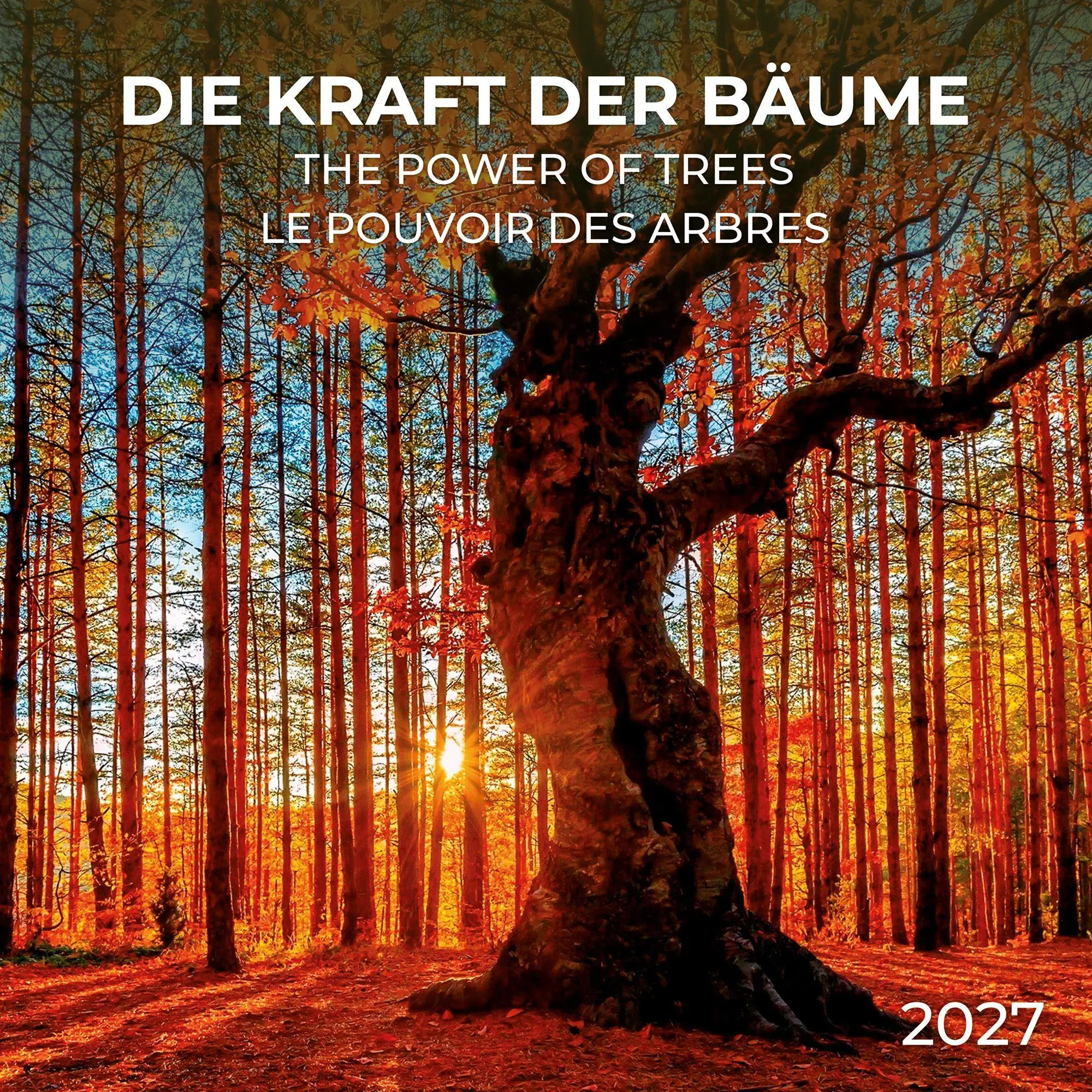 Cover: 9783959297332 | Die Kraft der Bäume / The Power of Trees 2027 | Kalender 2027 | 28 S.