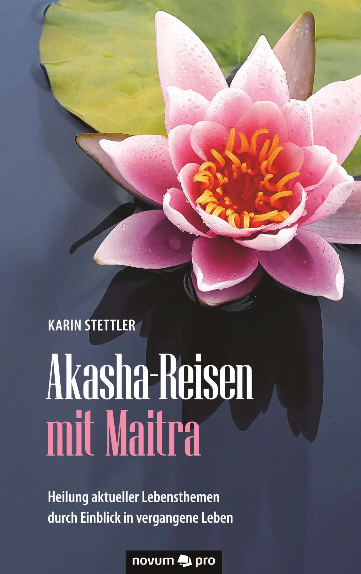 Cover: 9783990647332 | Akasha-Reisen mit Maitra | Karin Stettler | Taschenbuch | 428 S.