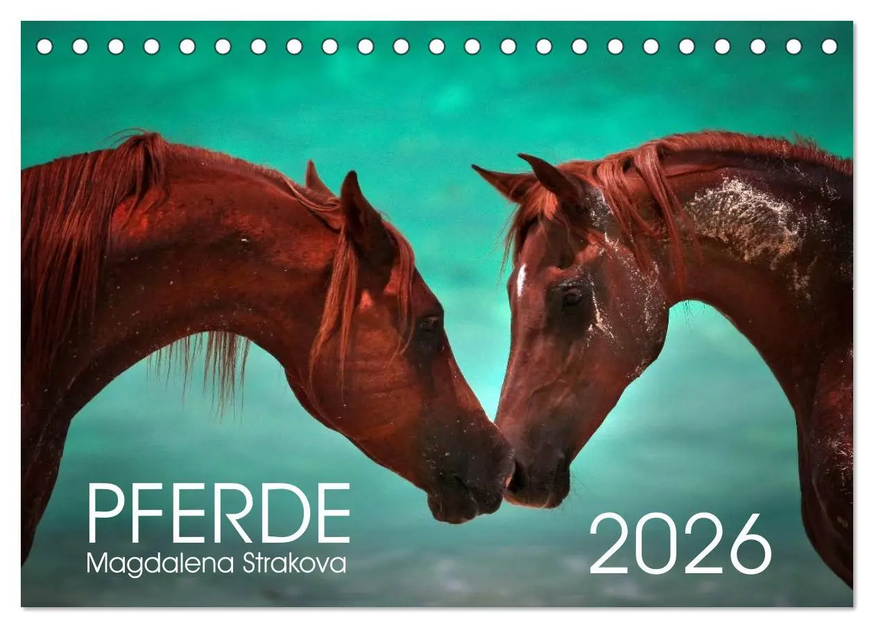 Cover: 9783516037432 | Pferde - Magdalena Strakova (Tischkalender 2026 DIN A5 quer),...