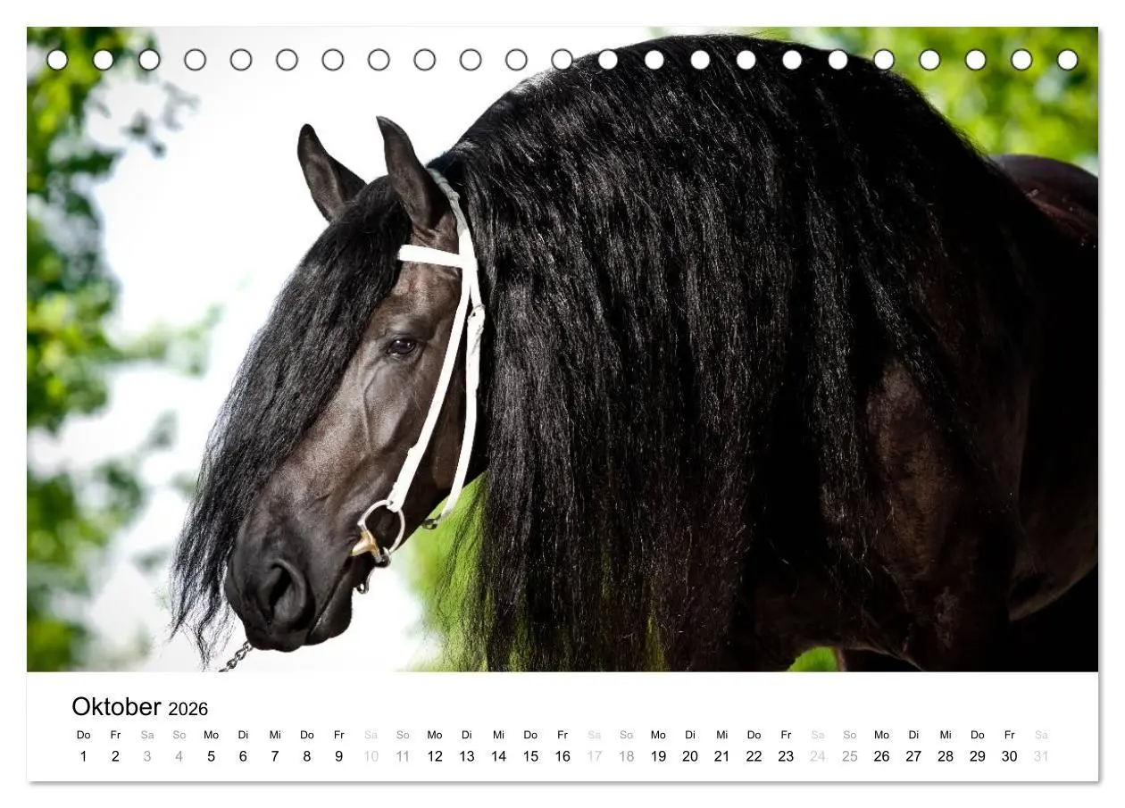 Bild: 9783516037432 | Pferde - Magdalena Strakova (Tischkalender 2026 DIN A5 quer),...