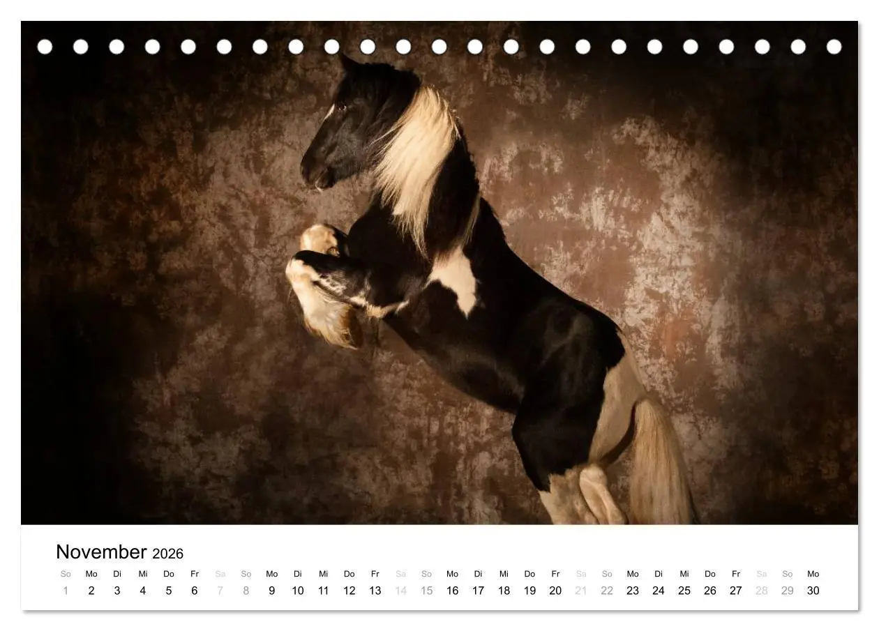 Bild: 9783516037432 | Pferde - Magdalena Strakova (Tischkalender 2026 DIN A5 quer),...