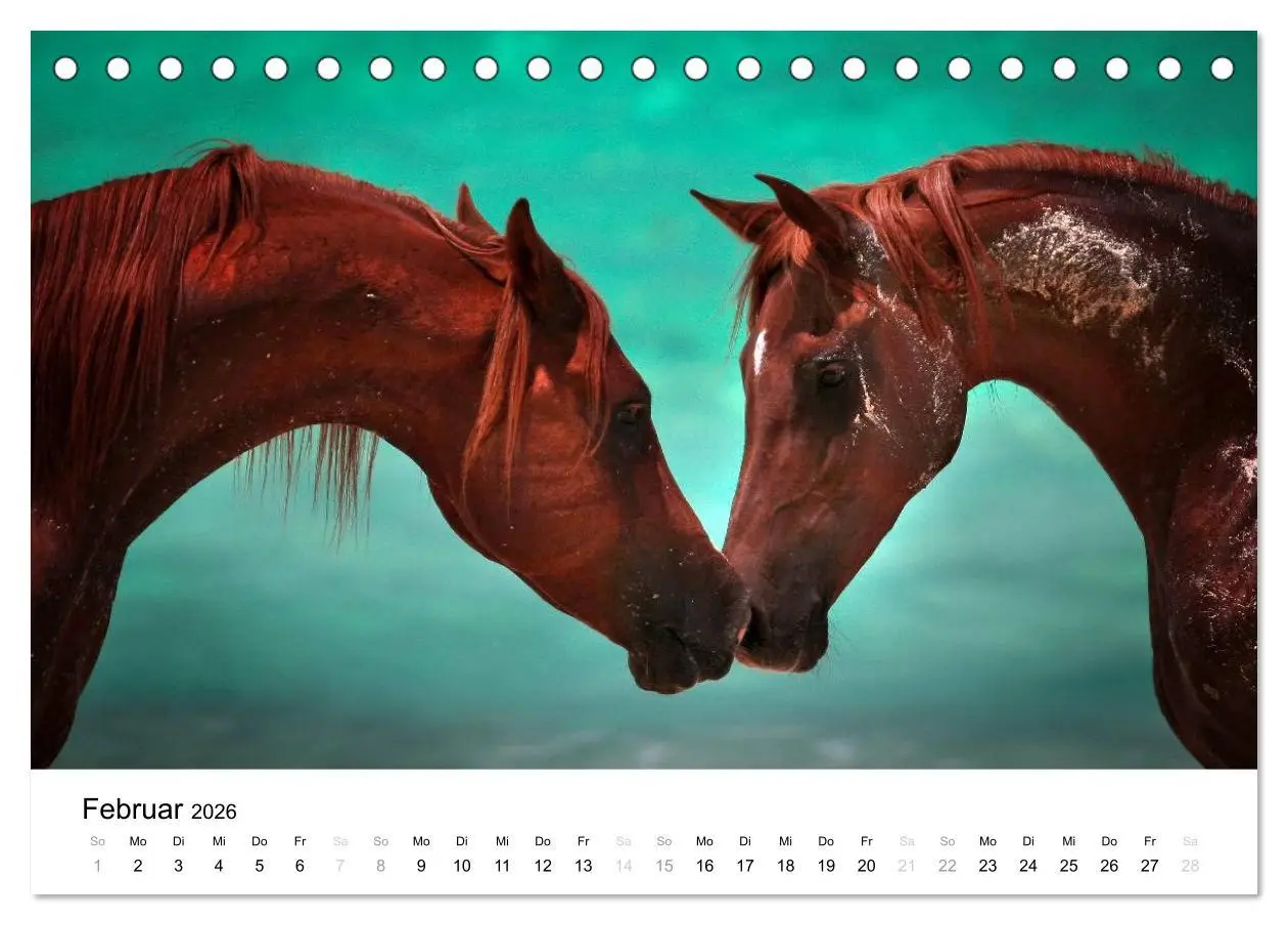 Bild: 9783516037432 | Pferde - Magdalena Strakova (Tischkalender 2026 DIN A5 quer),...