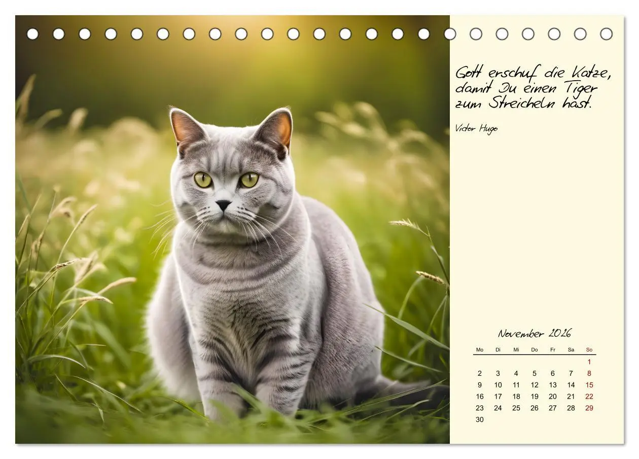 Bild: 9783457317532 | Katzen - Charakter und Schönheit (Tischkalender 2026 DIN A5 quer),...