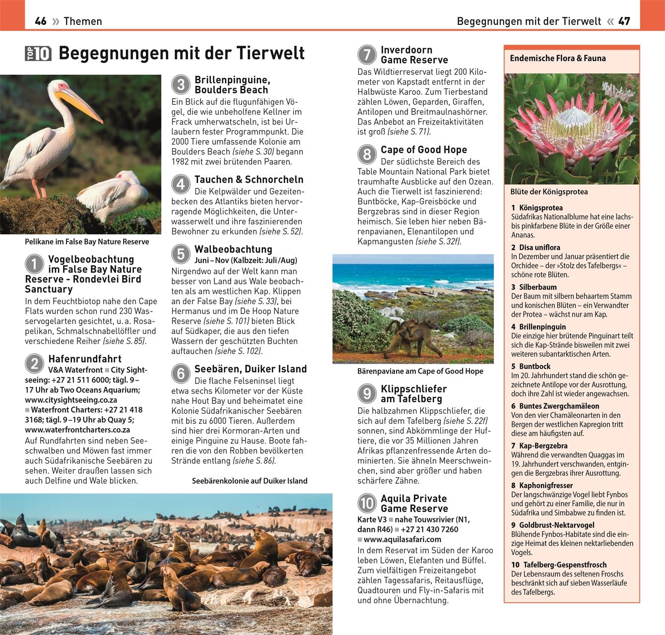 Bild: 9783734207532 | TOP10 Reiseführer Kapstadt | DK Verlag - Reise | Taschenbuch | 128 S.