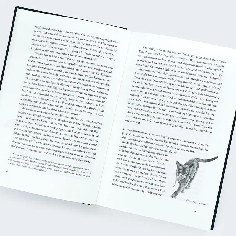 Bild: 9783446277632 | Von der Savanne aufs Sofa | Eine Evolutionsgeschichte der Katze | Buch