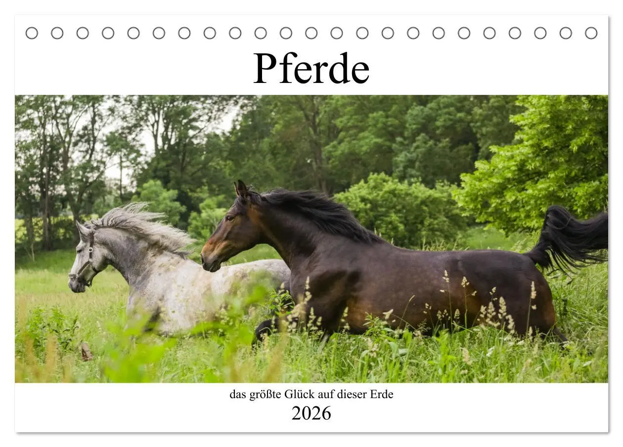 Cover: 9783457617632 | Pferde, das größte Glück auf dieser Erde (Tischkalender 2026 DIN A5...