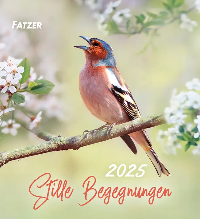 Cover: 9783866037632 | Stille Begegnungen 2025 | Kleiner Tischkalender | Sonstiges | Deutsch