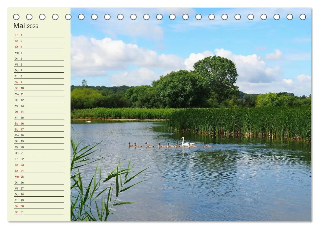Bild: 9783457457832 | Ländliche Idylle zwischen Erzgebirge und Muldental (Tischkalender...
