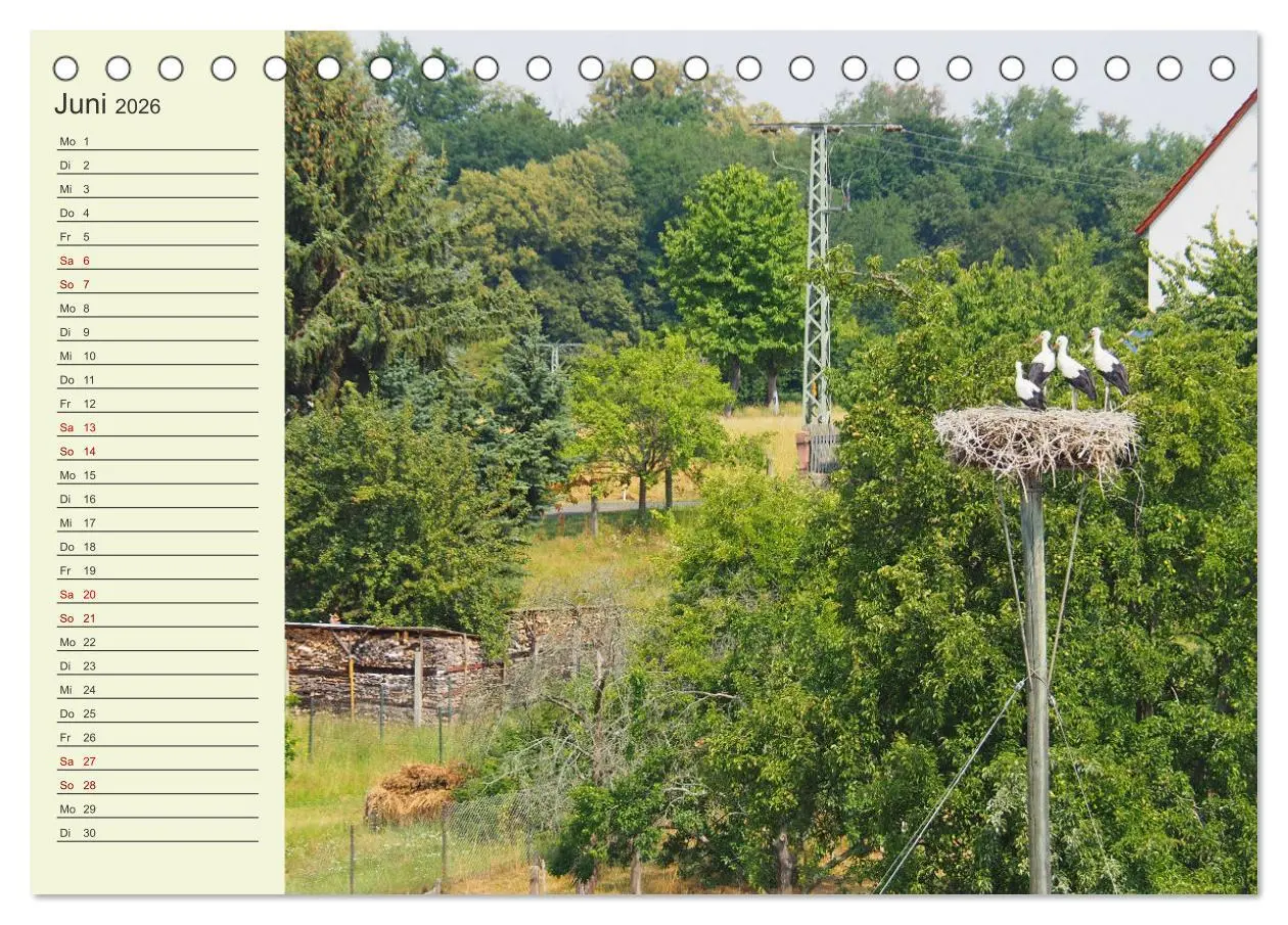 Bild: 9783457457832 | Ländliche Idylle zwischen Erzgebirge und Muldental (Tischkalender...