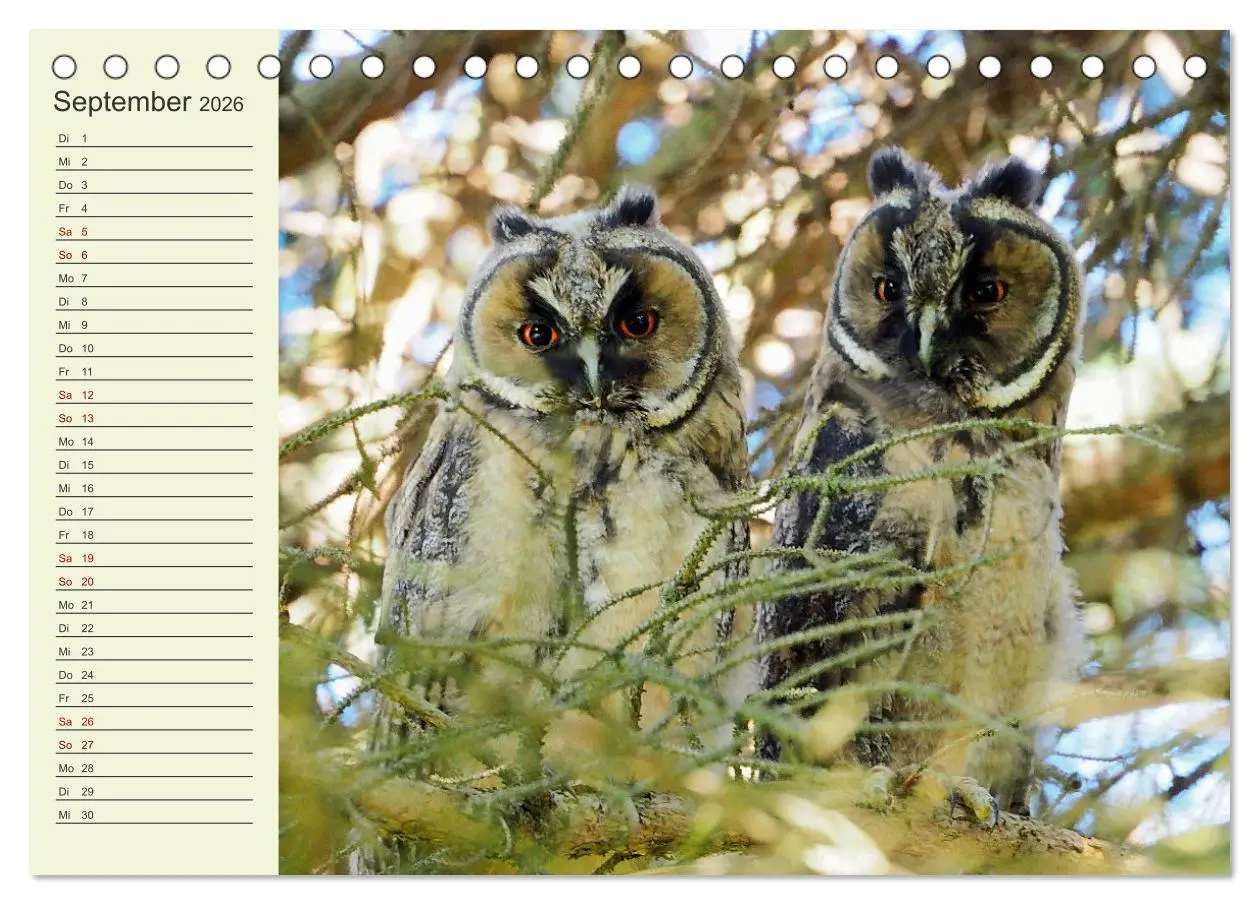 Bild: 9783457457832 | Ländliche Idylle zwischen Erzgebirge und Muldental (Tischkalender...