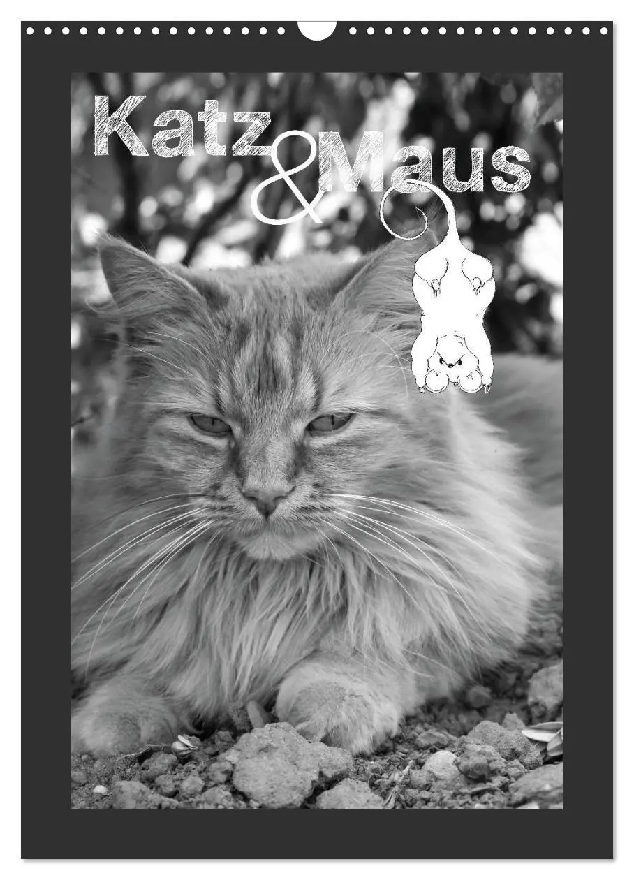 Cover: 9783594147832 | Katz &amp; Maus (Wandkalender 2027 DIN A3 hoch), CALVENDO Monatskalender