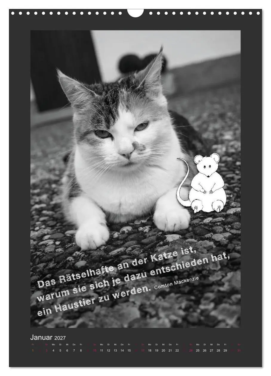 Bild: 9783594147832 | Katz &amp; Maus (Wandkalender 2027 DIN A3 hoch), CALVENDO Monatskalender