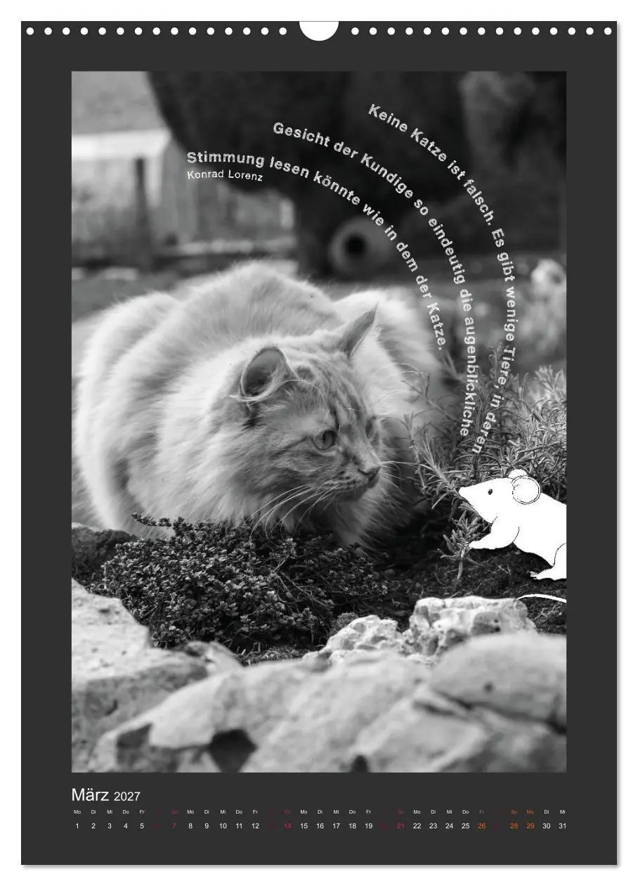 Bild: 9783594147832 | Katz &amp; Maus (Wandkalender 2027 DIN A3 hoch), CALVENDO Monatskalender