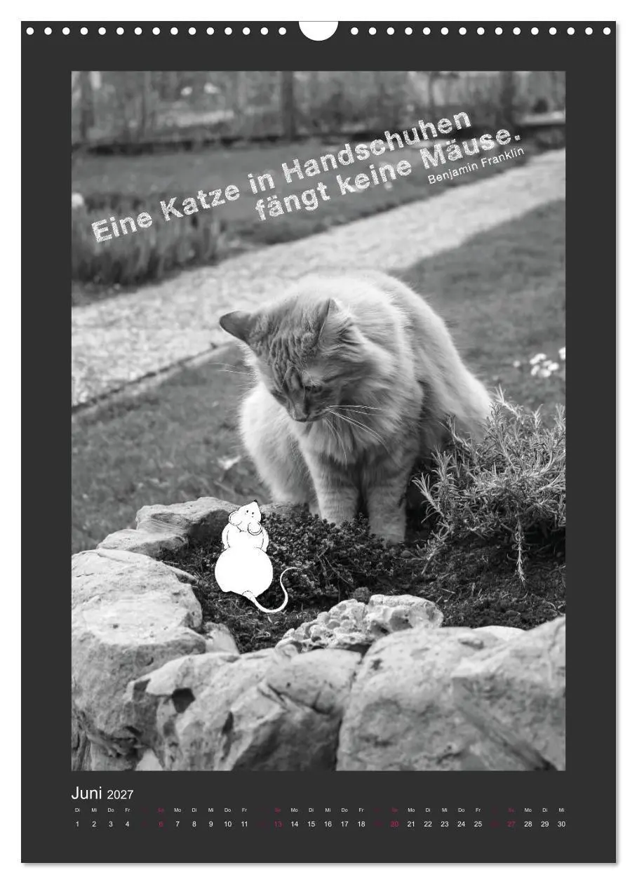 Bild: 9783594147832 | Katz &amp; Maus (Wandkalender 2027 DIN A3 hoch), CALVENDO Monatskalender