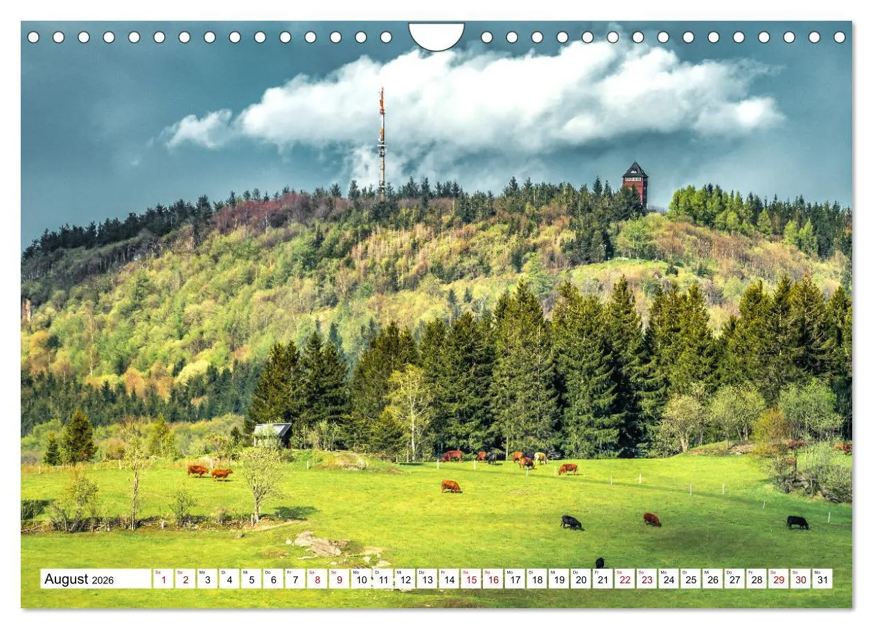 Bild: 9783457377932 | Schönes Erzgebirge (Wandkalender 2026 DIN A4 quer), CALVENDO...