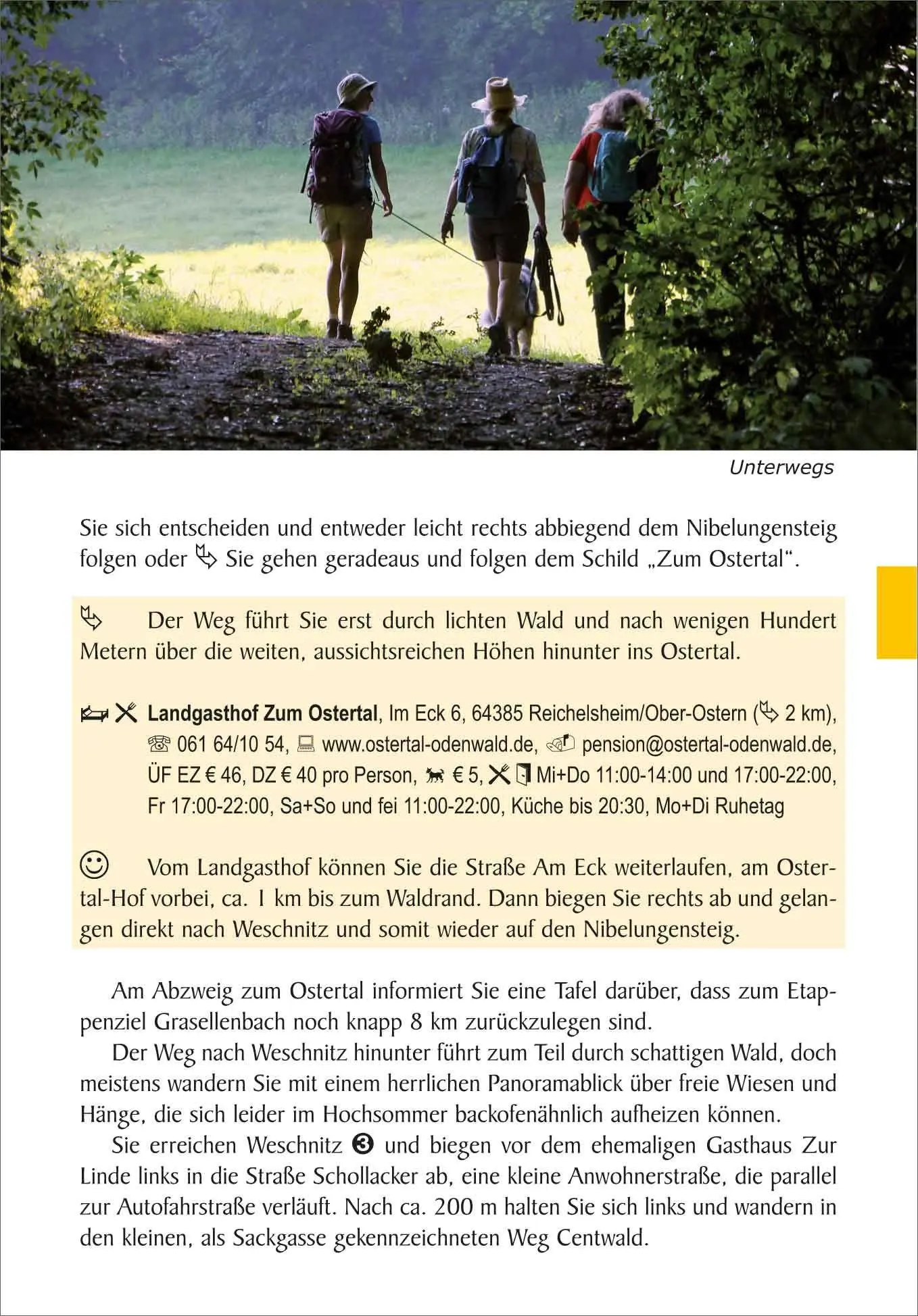 Bild: 9783866867932 | Nibelungensteig | Andrea Preschl | Taschenbuch | Outdoor Wanderführer