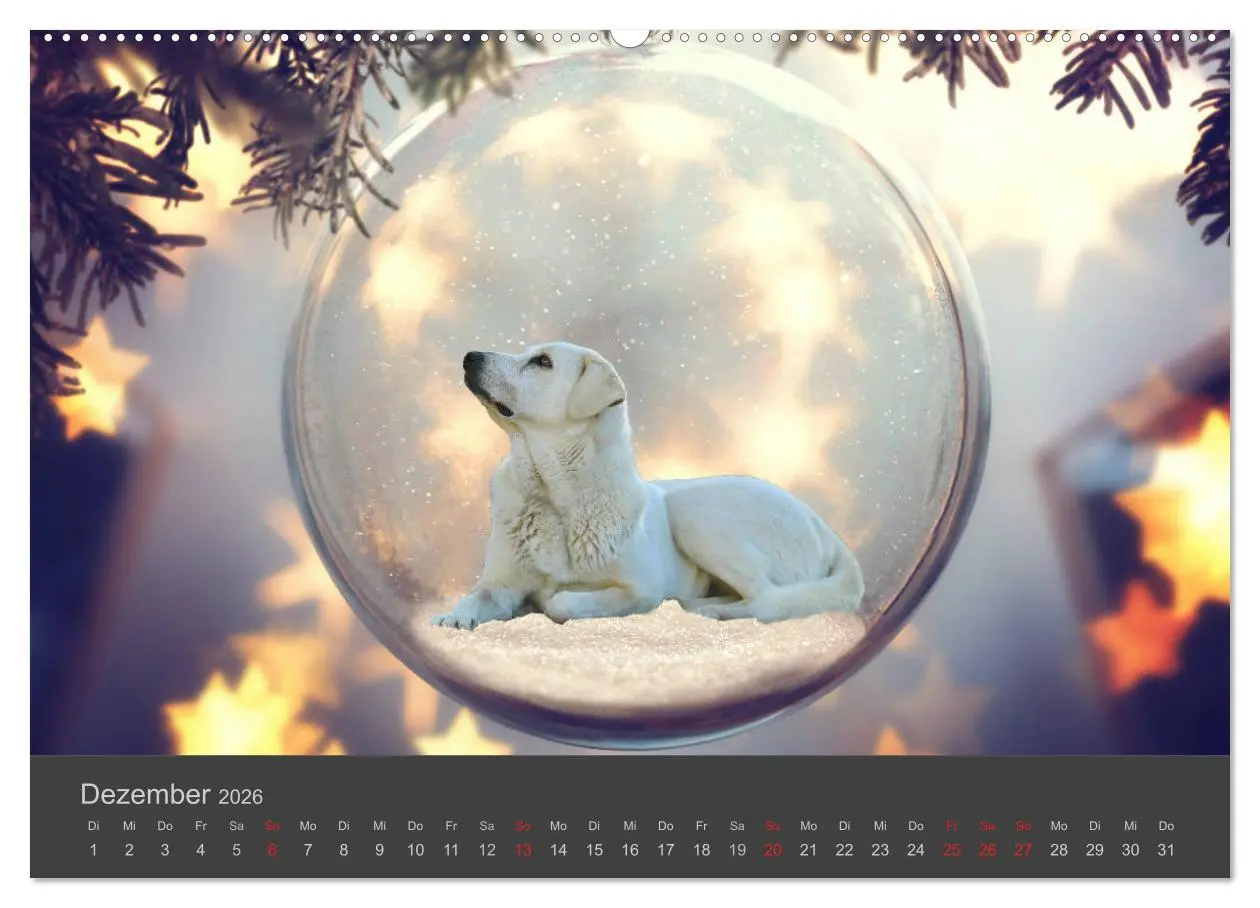 Bild: 9783457718032 | HUNDE LEBEN IST BUNT (hochwertiger Premium Wandkalender 2026 DIN A2...