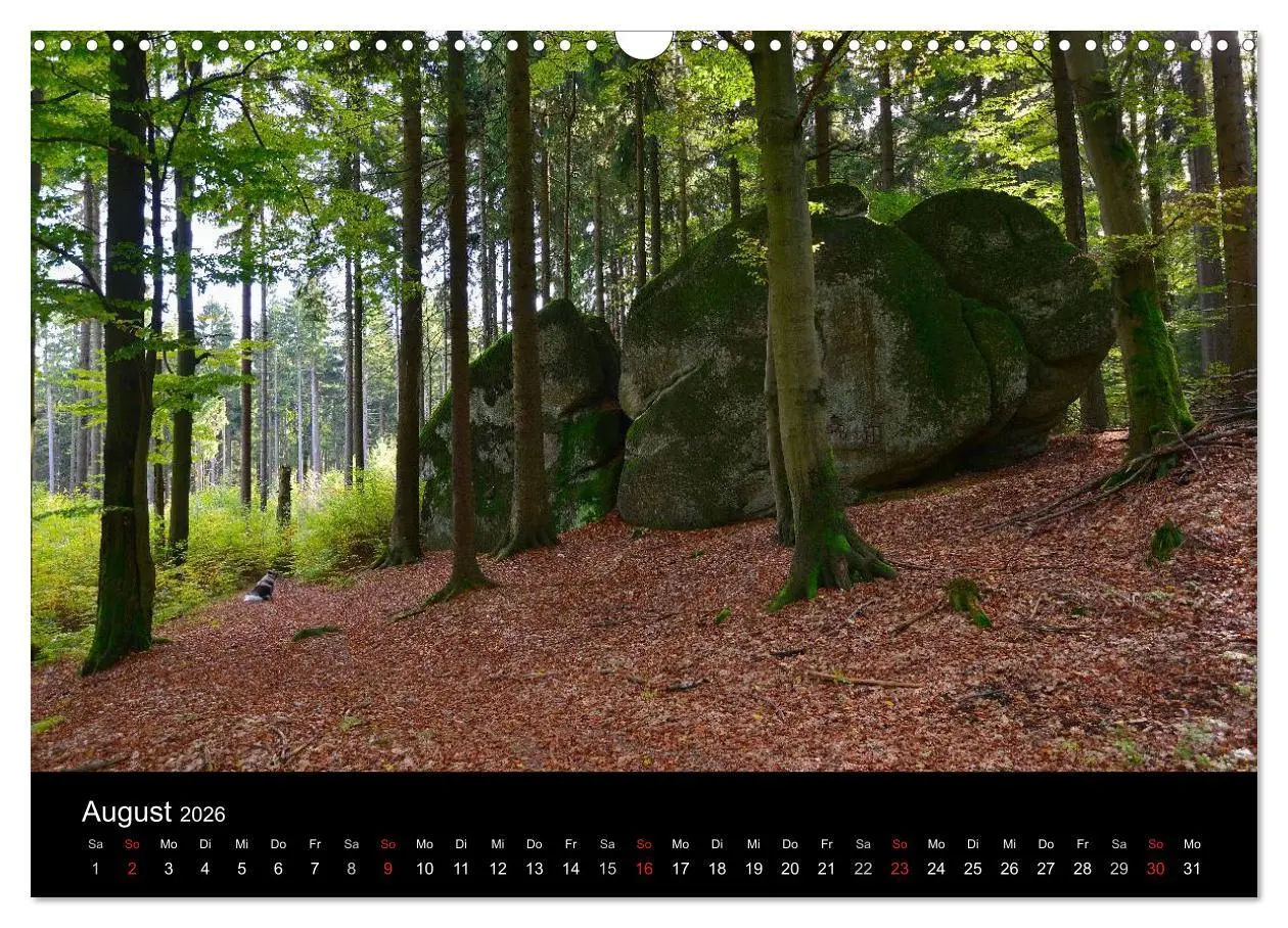 Bild: 9783516118032 | Rund um den Ochsenkopf (Wandkalender 2026 DIN A3 quer), CALVENDO...