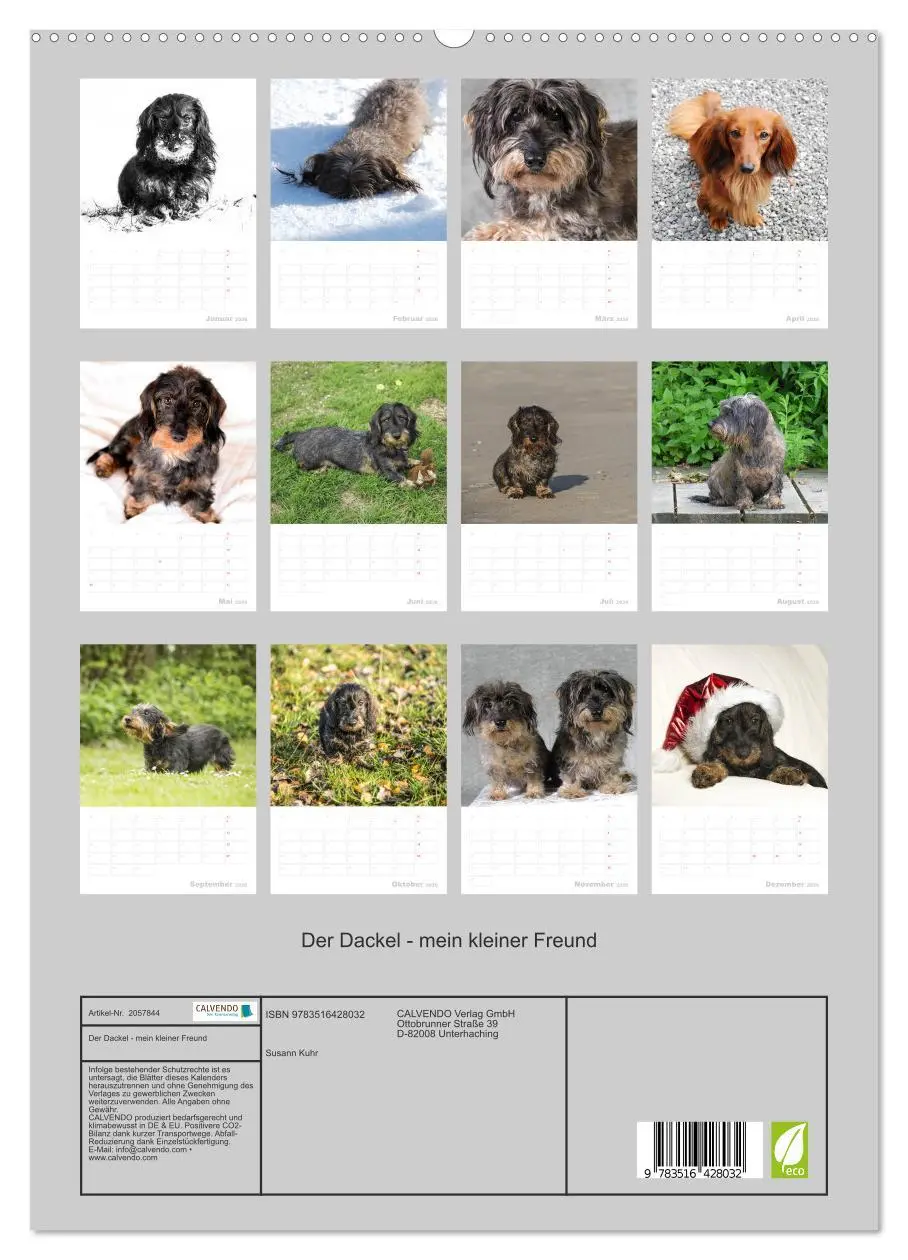 Bild: 9783516428032 | Der Dackel - mein kleiner Freund (hochwertiger Premium Wandkalender...