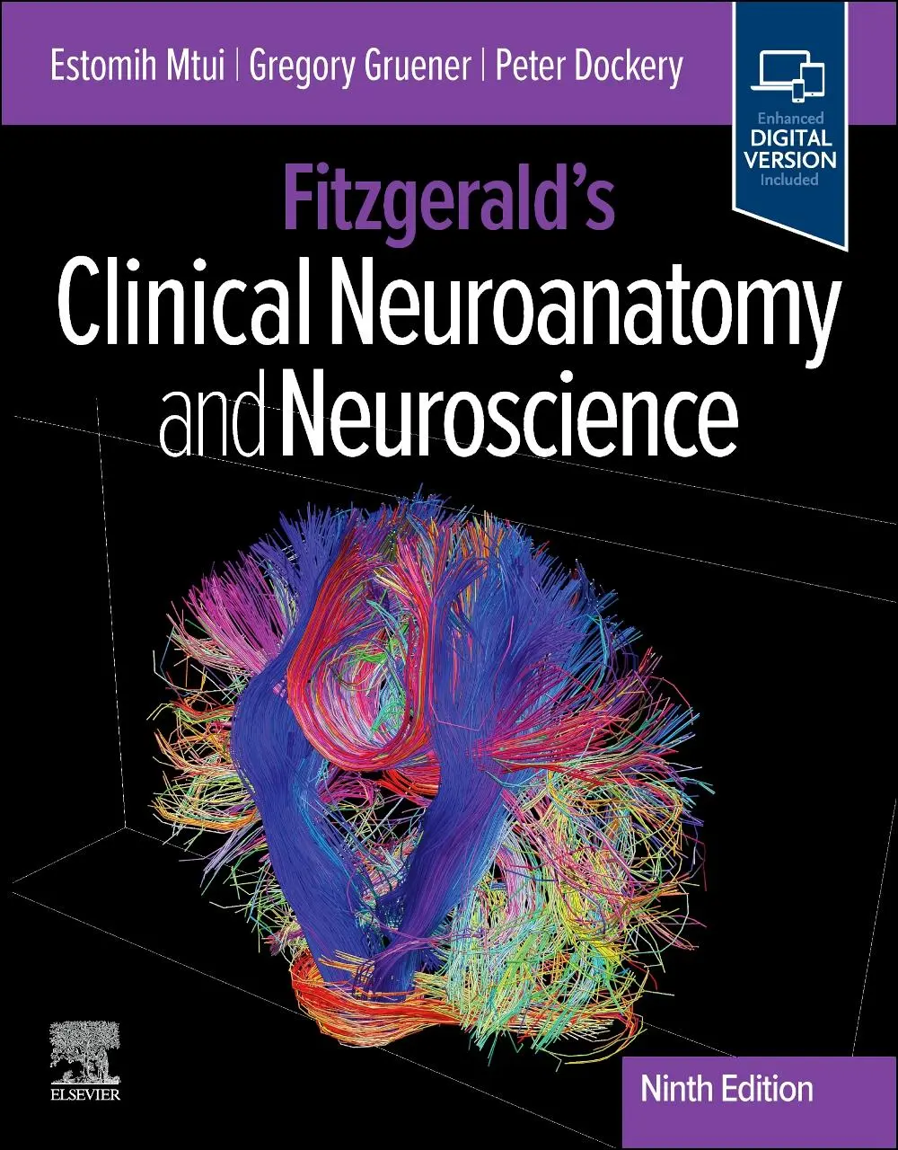 Cover: 9780443378232 | Fitzgerald's Clinical Neuroanatomy and Neuroscience | Mtui (u. a.)