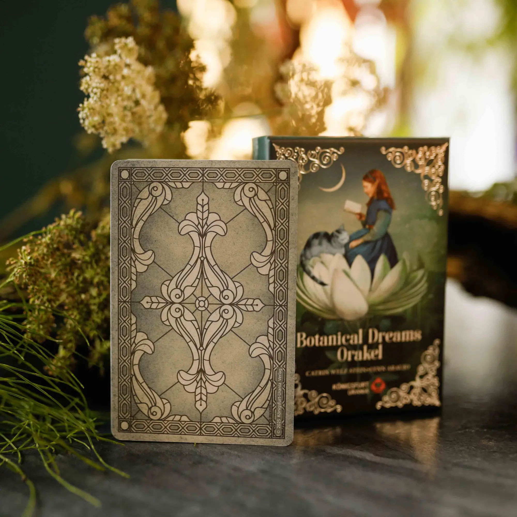 Bild: 9783868268232 | Botanical Dreams Orakel - 56 Orakel-Karten und 68-seitiges Booklet