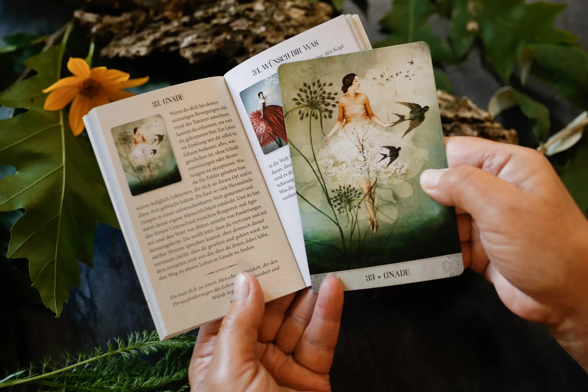 Bild: 9783868268232 | Botanical Dreams Orakel - 56 Orakel-Karten und 68-seitiges Booklet