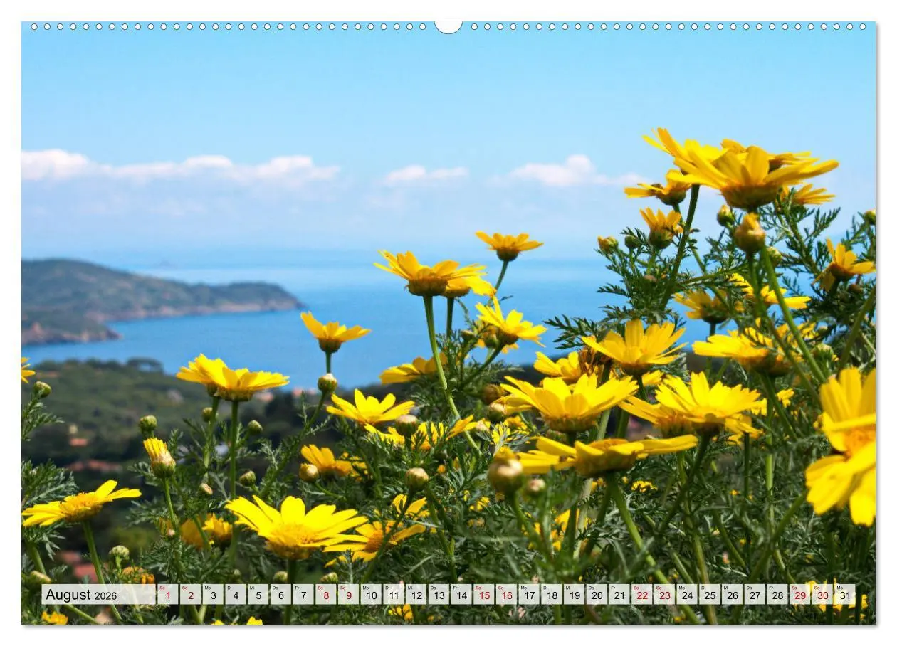 Bild: 9783457778432 | Insel Elba Impressionen (Wandkalender 2026 DIN A2 quer), CALVENDO...