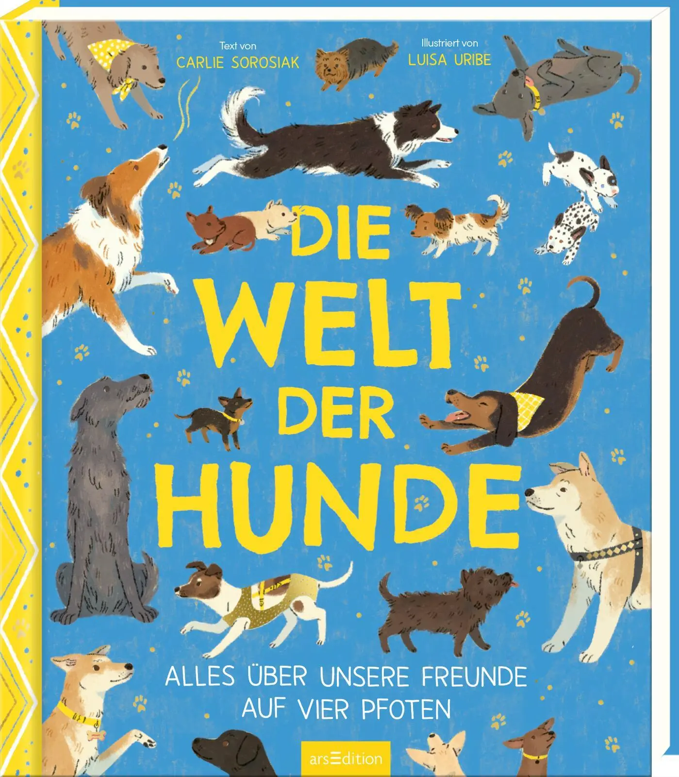 Cover: 9783845858432 | Die Welt der Hunde | Alles über unsere Freunde auf vier Pfoten | Buch
