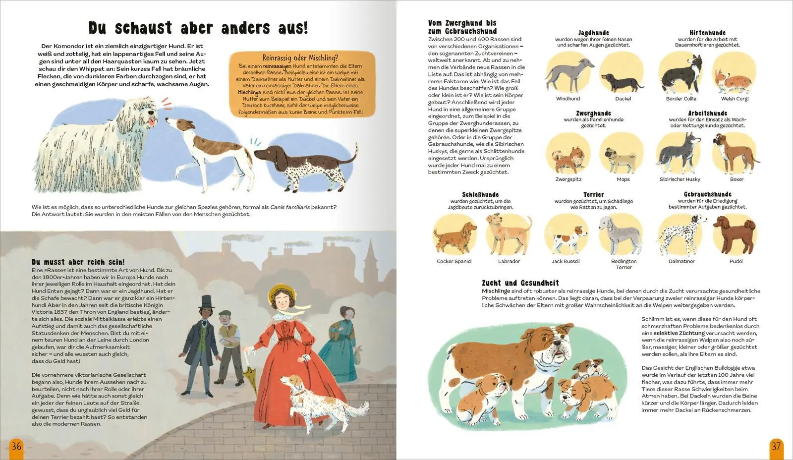 Bild: 9783845858432 | Die Welt der Hunde | Alles über unsere Freunde auf vier Pfoten | Buch