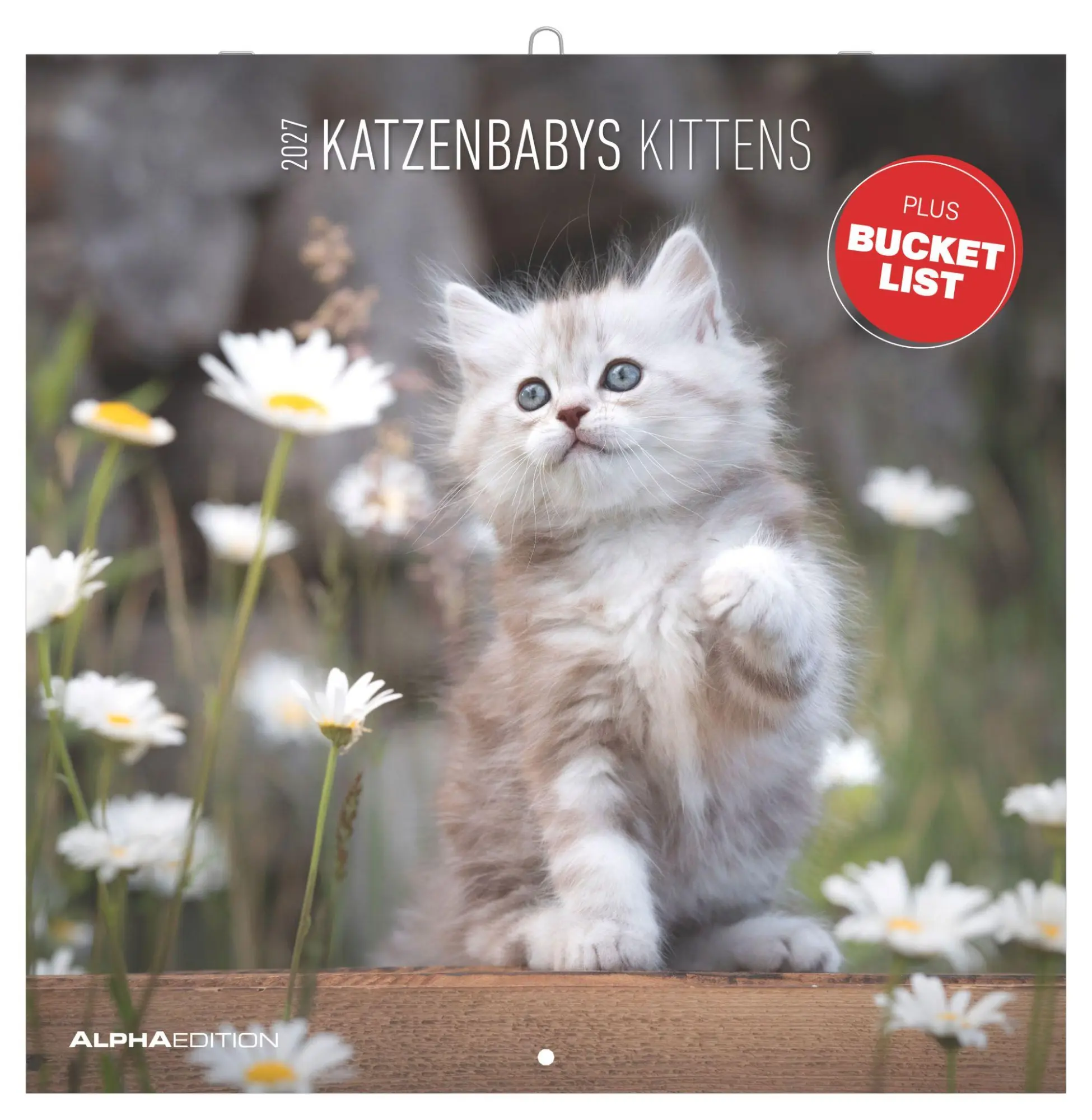 Cover: 4069095018532 | Katzenbabys 2027 | Neumann Verlage GmbH &amp; Co KG | Kalender | 14 S.
